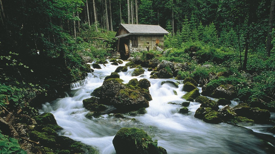 Golling an der Salzach featuring forests, a river or creek and rapids