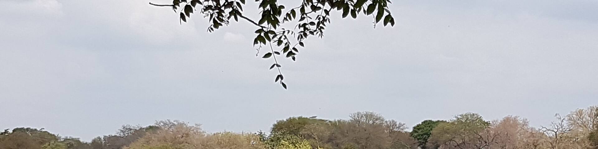 Listed as one of the most dangerous golf courses in the world. This challenging course, in the heart of Kruger National Park, has no fences. Crocs and hippos in the lakes, warthogs on the greens, it has it all! #lifeatexpedia #safari #golf #southafrica