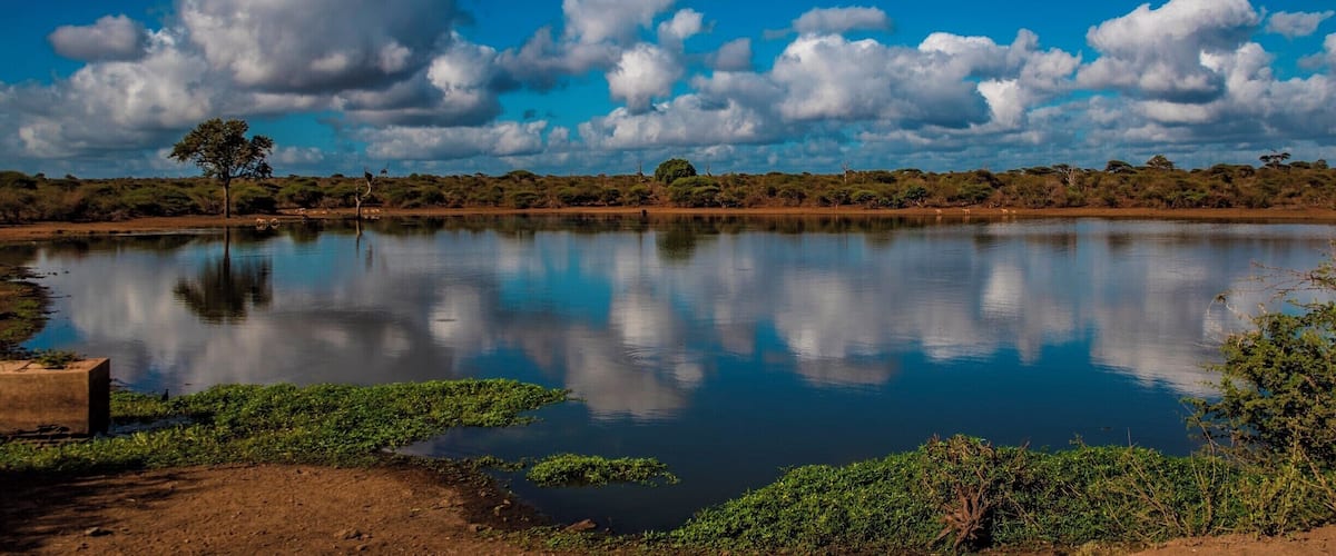 Impalas drinking water in Kruger National Park in South Africa.
#safari
#blue