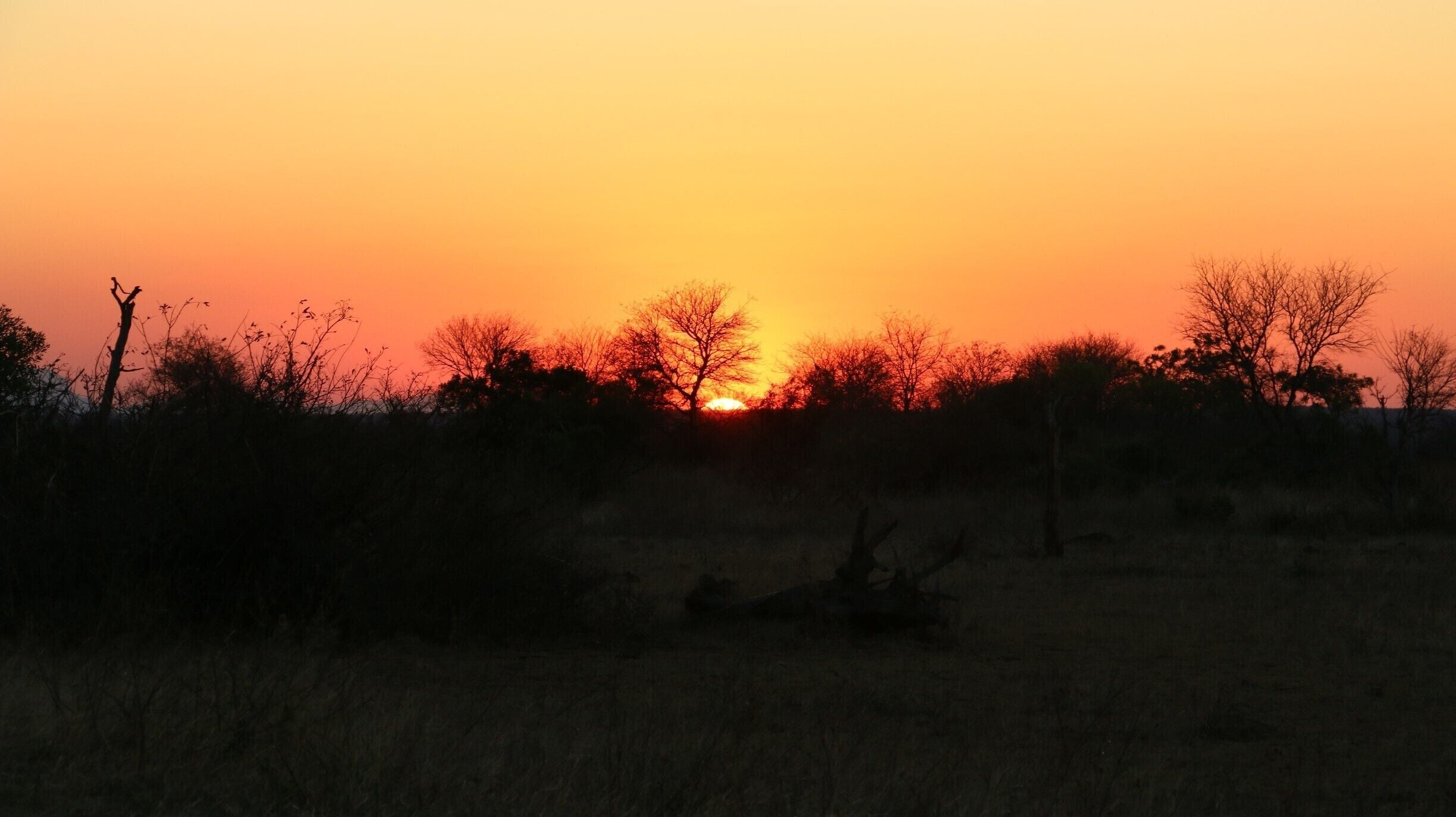 Sunset at Kruger National Park