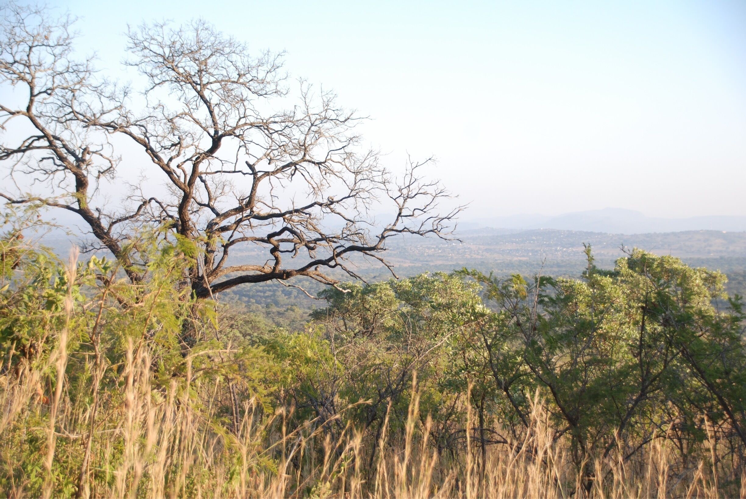 This makes me want to sing that song by Toto.