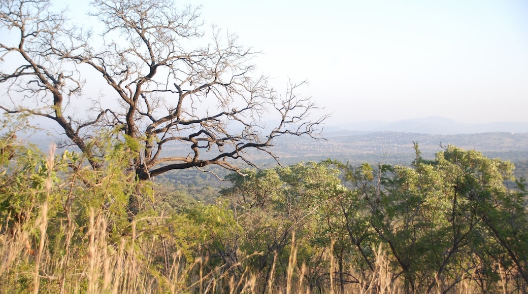 This makes me want to sing that song by Toto.