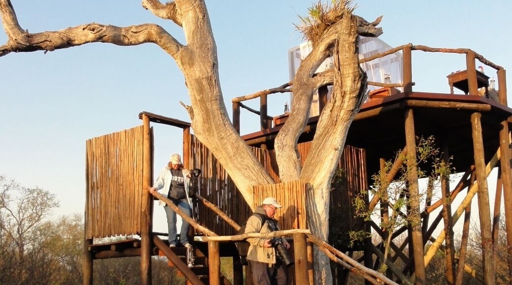 Spend a night in the Chalkley Treehouse. Listen to the wildlife all around you. You won't sleep but you will love it!