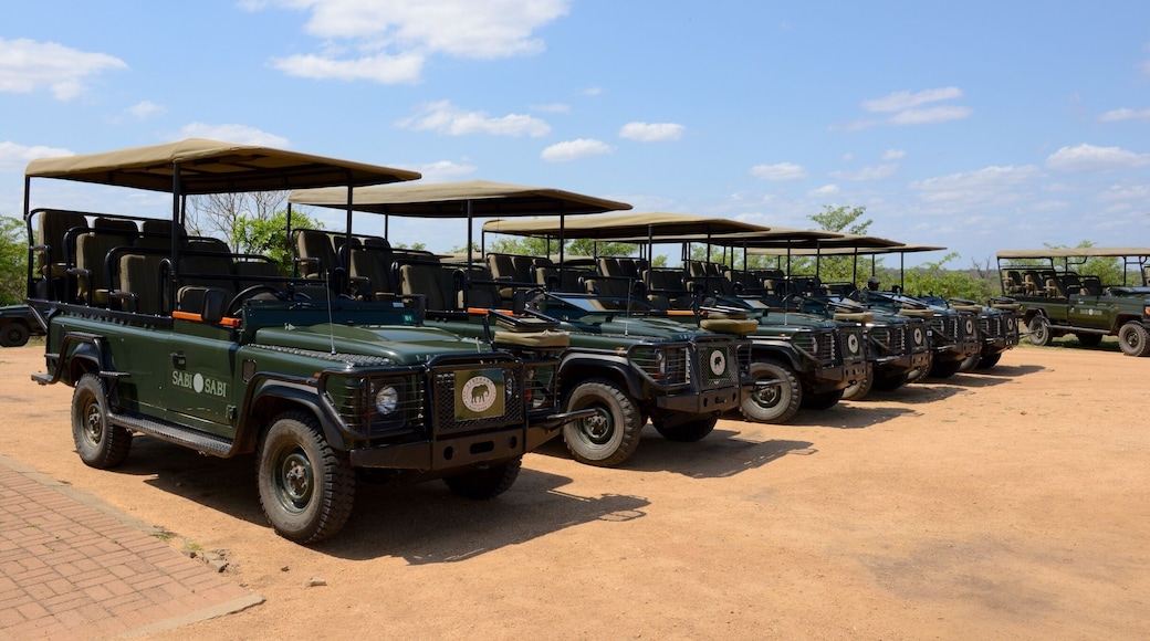 After landing on a postage stamp in a VERY small airplane ( hate small airplanes ! ) your bush rangers are waiting to transport you to your lodge in these rugged people movers.