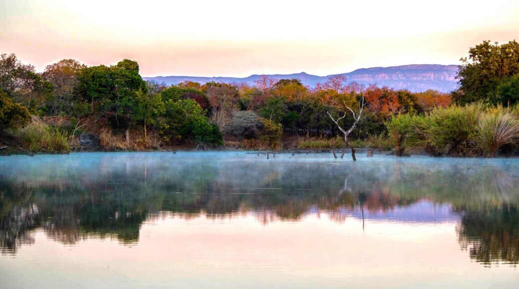 🍁 autumn in south africa