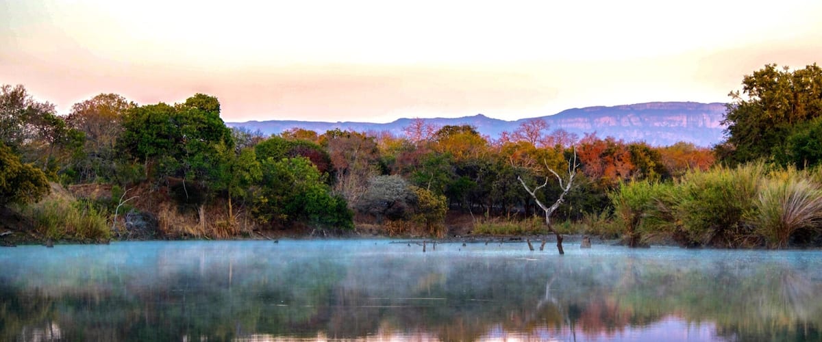 🍁 autumn in south africa