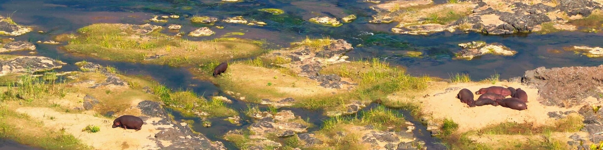 A river with rocks and patches of grass.