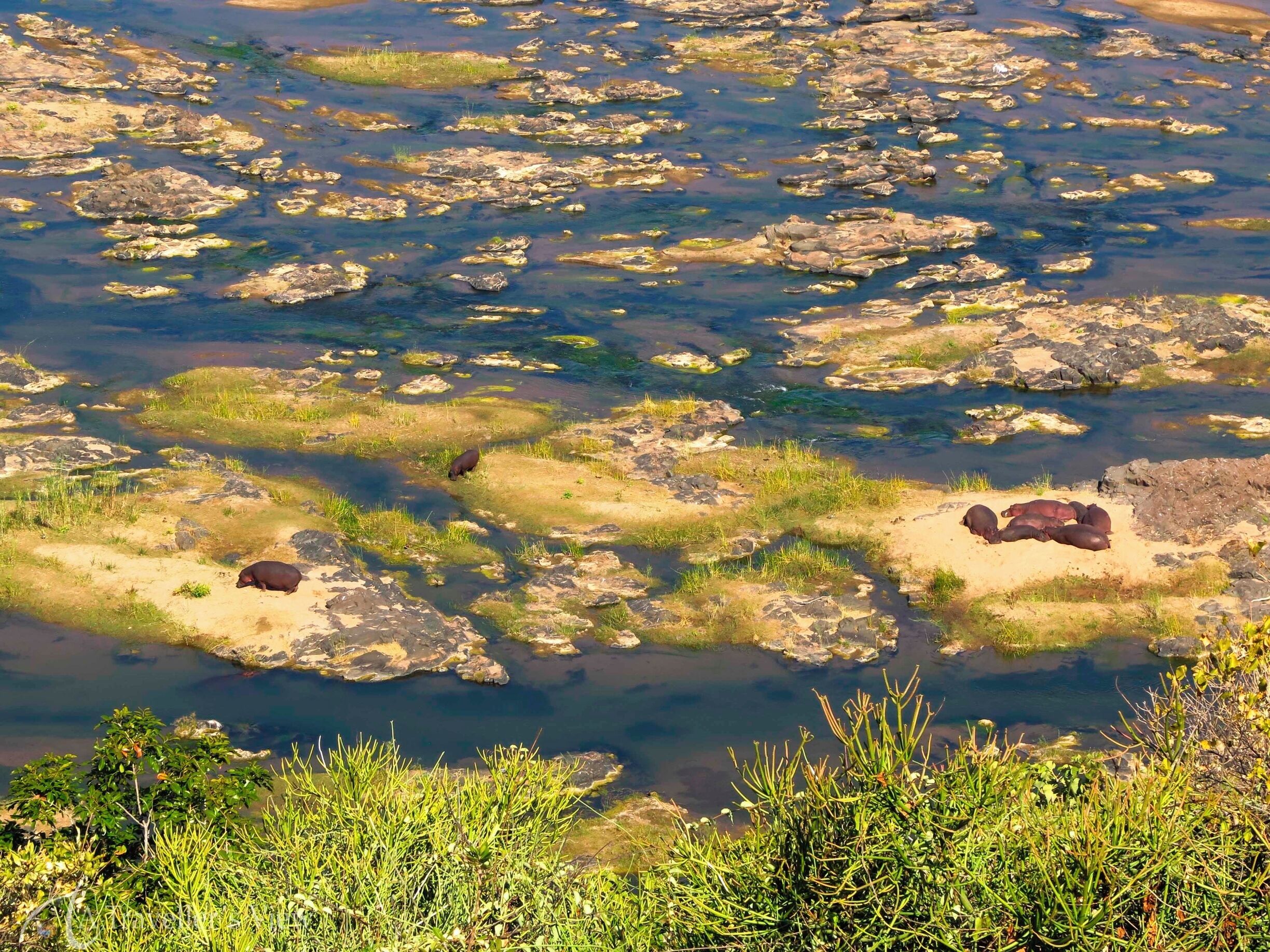 A river with rocks and patches of grass.