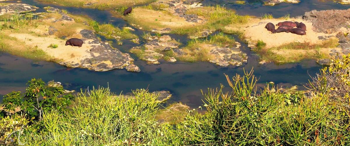 A river with rocks and patches of grass.