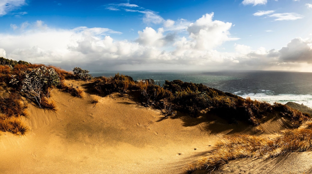 New Zealand StewartCoastline Panorama