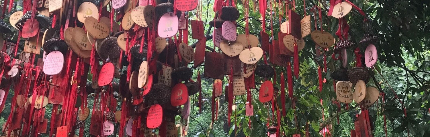 Fengyan is a picturesque temple on the top of the mountain. The main difference of the rest Chinese temples here are wishes and prayers people write down on a wooden hearts and hang on trees around. Looks amazing and you may take magnificent photos. The city view is another thing worth seeing.Also you will find a pond with hundreds of turtles 🐢
Take a metro to the station Airport East of Line 1 and then a taxi to 鳳凰山 (深圳). You need to take a 15-20 min walk up to the top, but it is definitely worth it! 
More photos on my Instagram: @lucythecurly