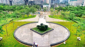 Amazing high angle view from Shenzhen Museum