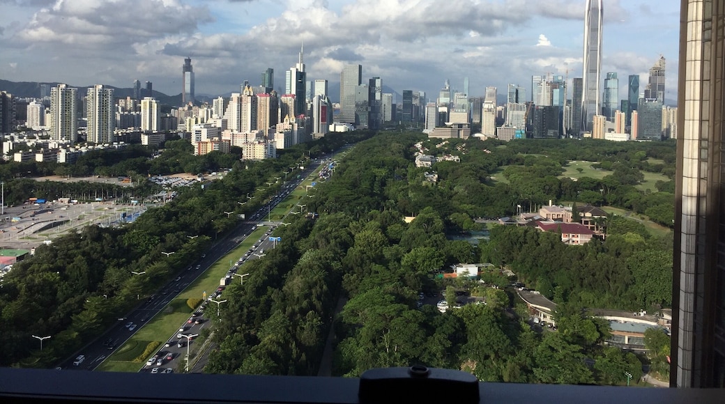 View of SZ from the executive lounge.