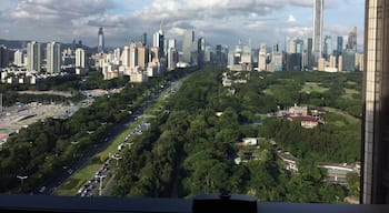 View of SZ from the executive lounge.