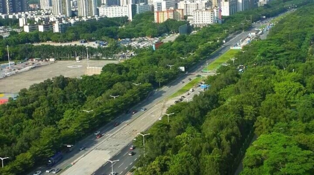 View of Shenzhen #China #aboveitall #shenzhen