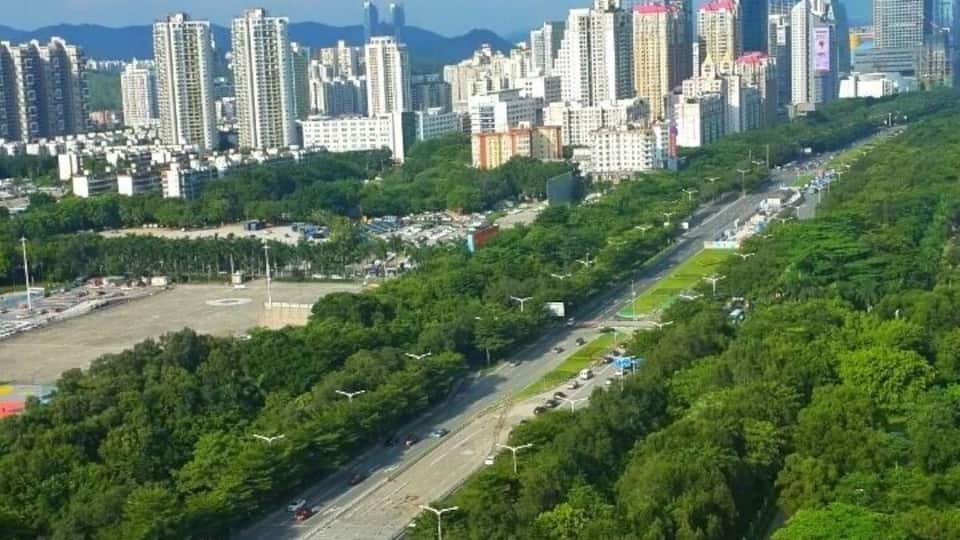 View of Shenzhen #China #aboveitall #shenzhen