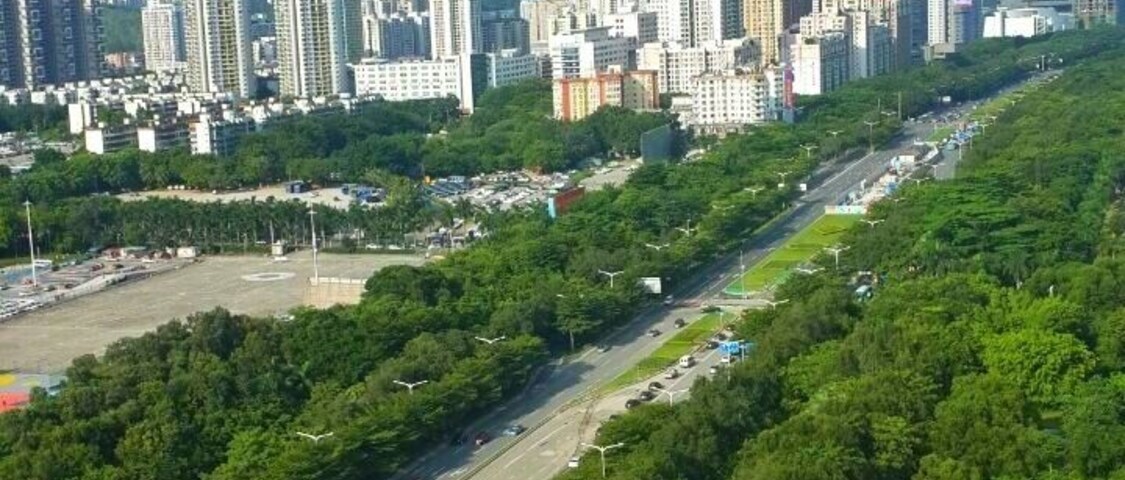 View of Shenzhen #China #aboveitall #shenzhen