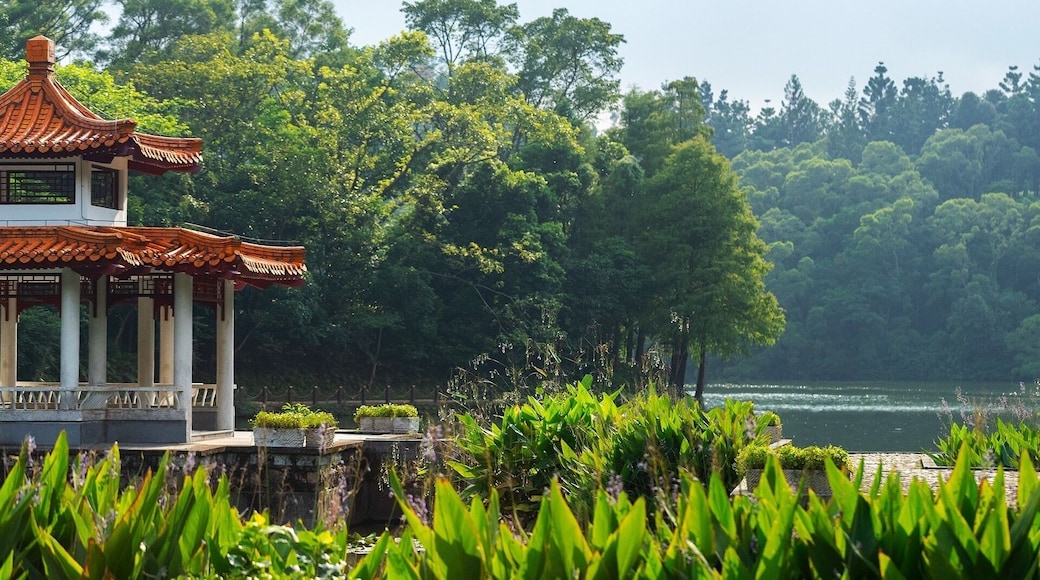 Shenzhenâs Fairy Lake Botanical Garden is a world away from the city. Located at the foot of Wutong Mountain the huge wooded area and lakes are a great escape from city life. #adventure