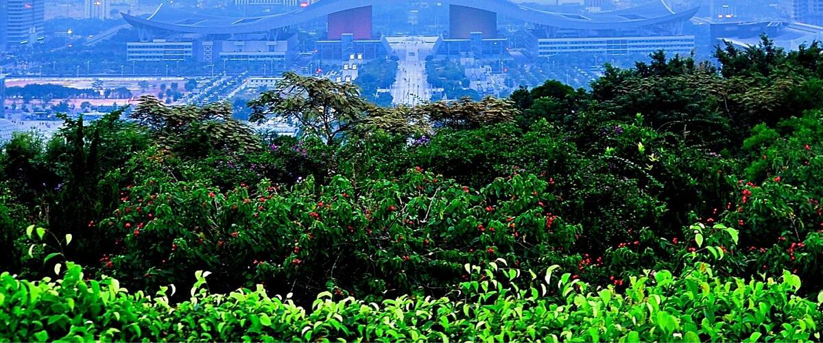 Looking down to Shenzhen Civic Center from the lookout of Mount Lotus (蓮花山) in Shenzhen, Guangdong, China. Shenzhen is the fourth largest city in China and the eighth-most-populous city proper in the world by population (12,528,300). The city is also on the list of UNESCO Creative Cities.