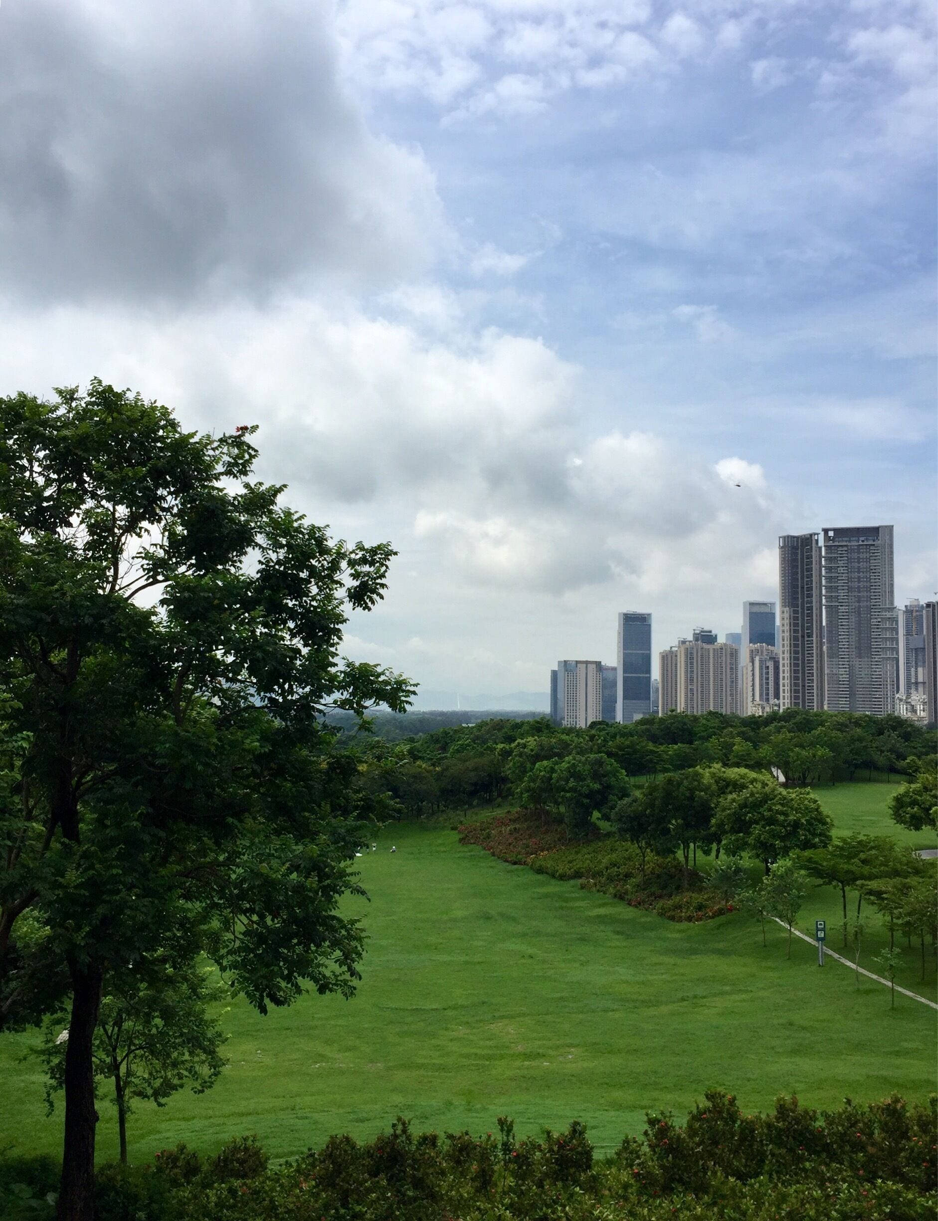 A lush green park with a city skyline in the background.