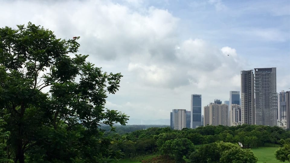 A lush green park with a city skyline in the background.
