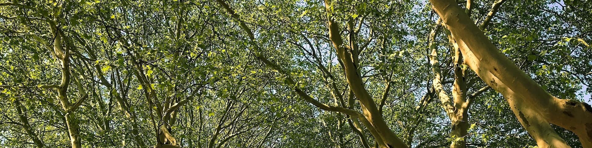 Place to relax❤️