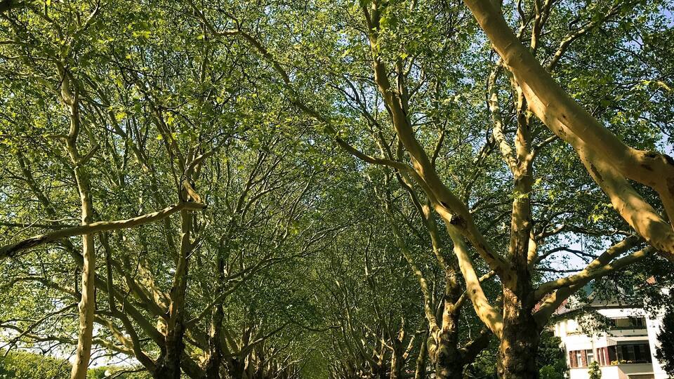 Place to relax❤️