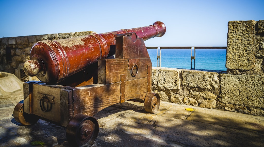 Defense, Spanish cannon pointing out to sea fortress