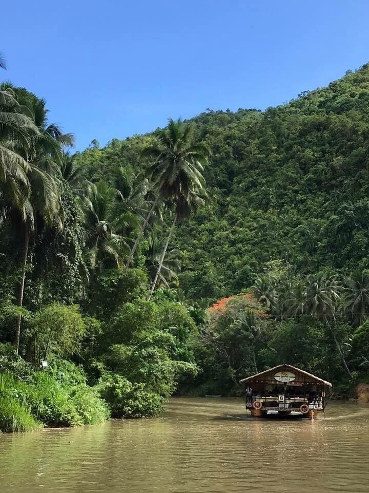 Beautiful forest view Loboc River Cruise, Water gets muddy during rainy season 