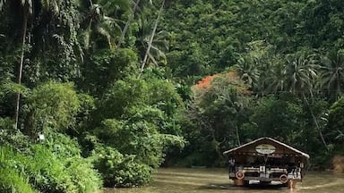 Um rio com um barco tradicional e vegetação tropical densa.