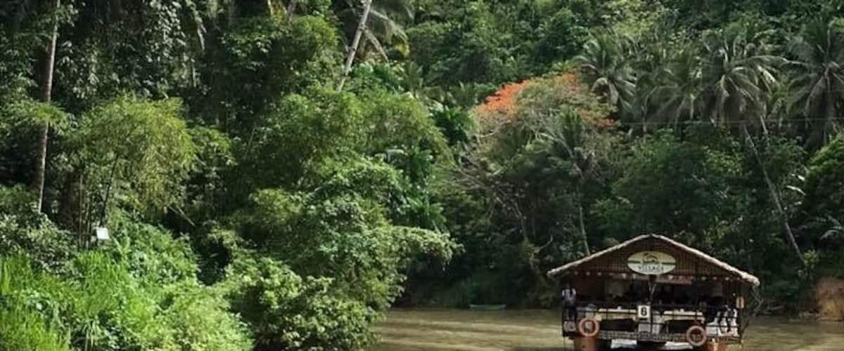 Beautiful forest view Loboc River Cruise, Water gets muddy during rainy season