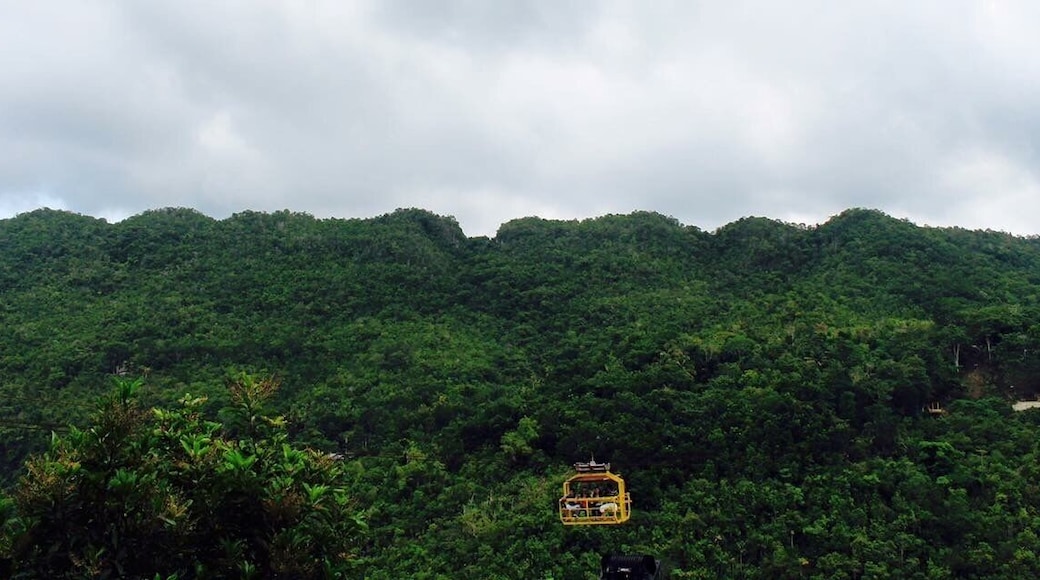 Green and yellow in #Bohol #LifeatExpedia