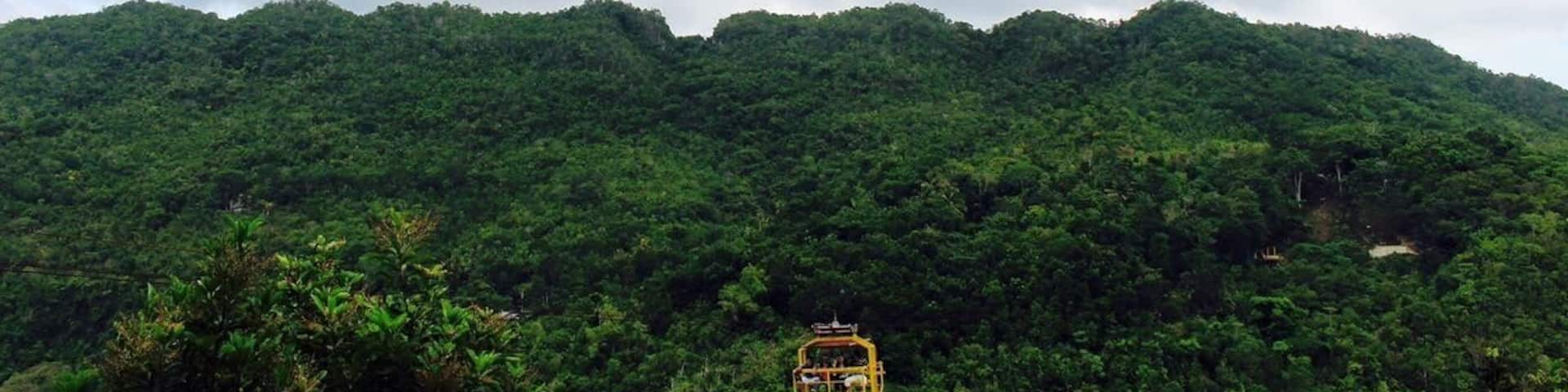 Green and yellow in #Bohol #LifeatExpedia