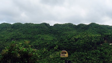 Green and yellow in #Bohol #LifeatExpedia