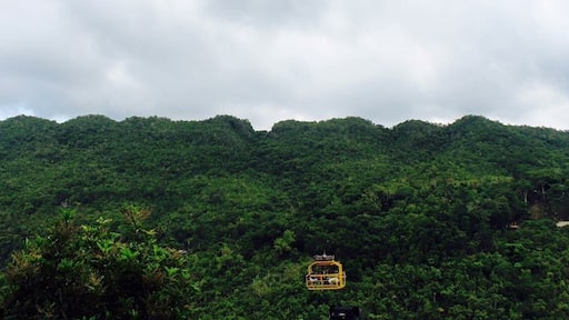 Green and yellow in #Bohol #LifeatExpedia