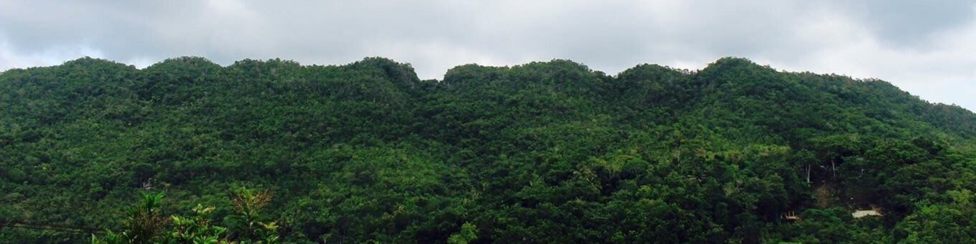Green and yellow in #Bohol #LifeatExpedia