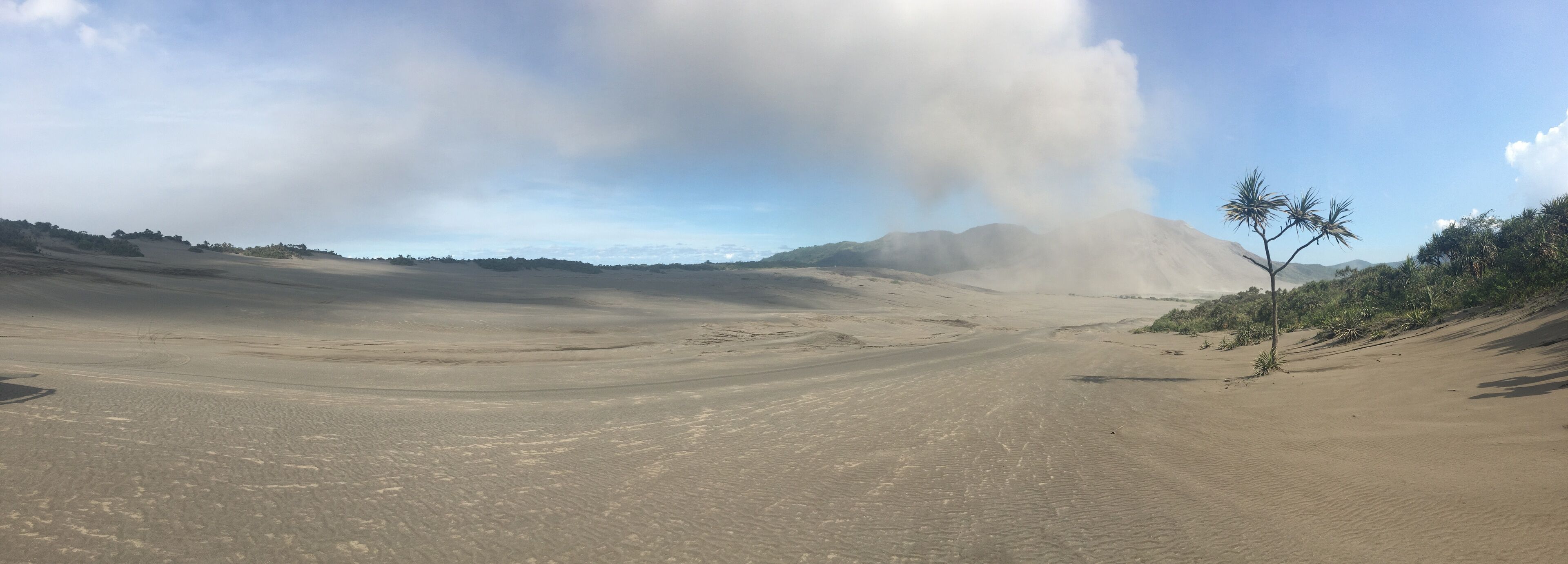 Un extenso paisaje desértico con dunas ondulantes y vegetación escasa.