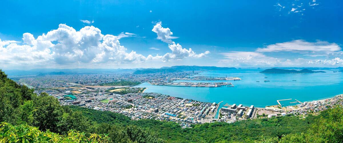 A coastal city with a harbor, green hills, and a clear blue sky.