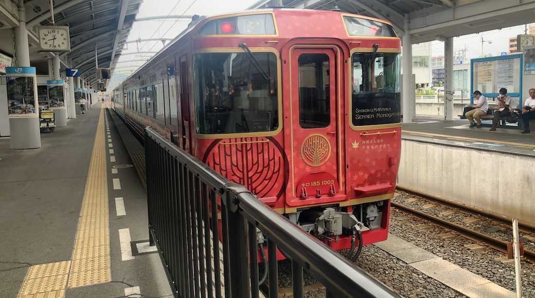 This train is a tourist train of Shikoku Railway.