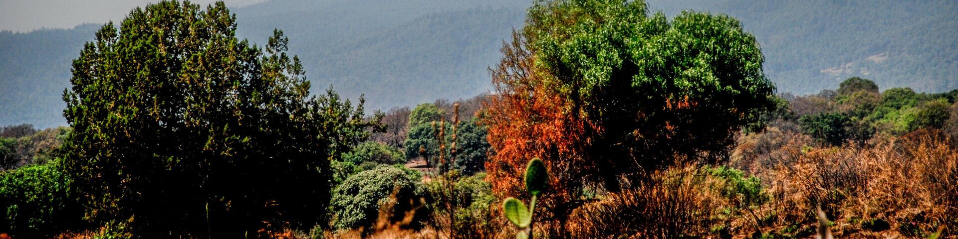 Landscape in Iztaccihuatl