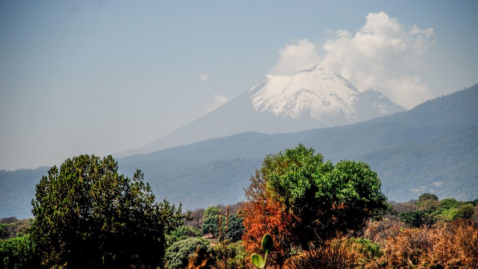 A snow-capped mountain, green trees, and a clear sky.