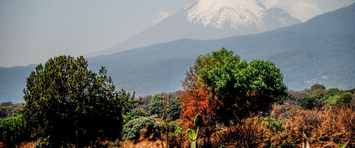 A snow-capped mountain, green trees, and a clear sky.