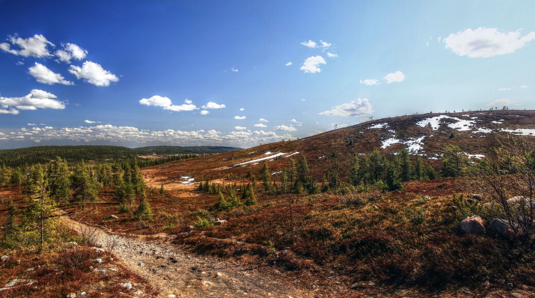 Panorama of highlands in nature reserve near Arvidsjaur in northern Sweden