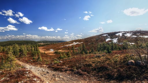 Panorama of highlands in nature reserve near Arvidsjaur in northern Sweden