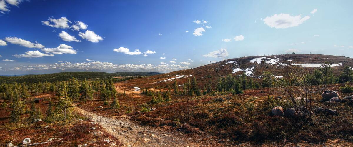 A mountainous landscape with a dirt path, scattered trees, and a small cabin.