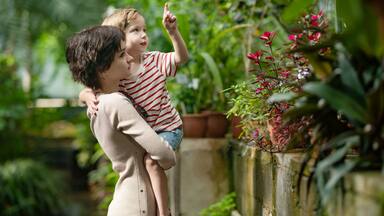 Little boy and his teenage sister exploring different species of tropical plants and flowers in botanical garden of Tartu, Estonia. Lush exotic vegetation grown in a greenhouse