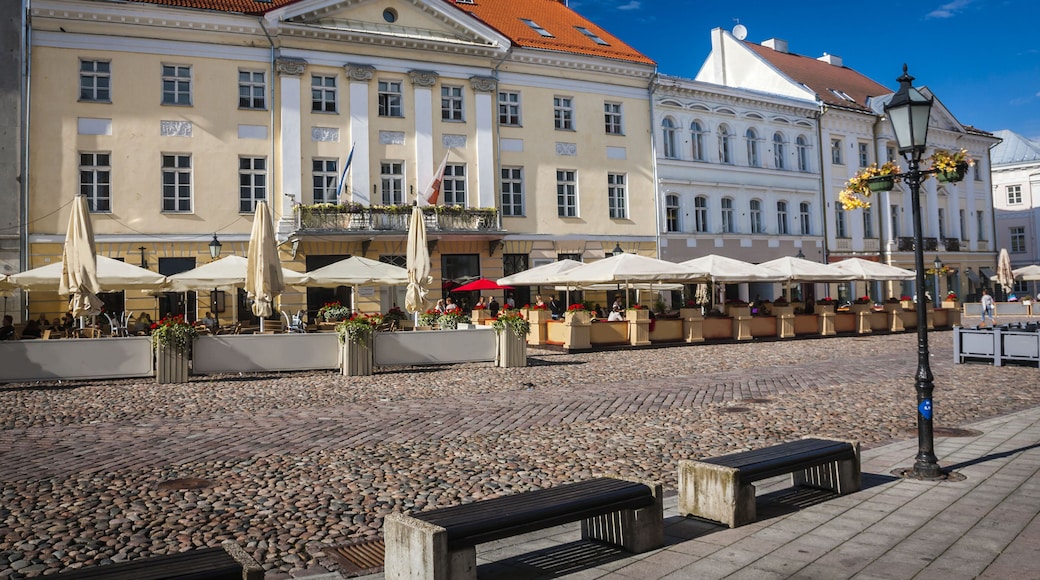 Amazing city centre of academic city Tartu, Estonia