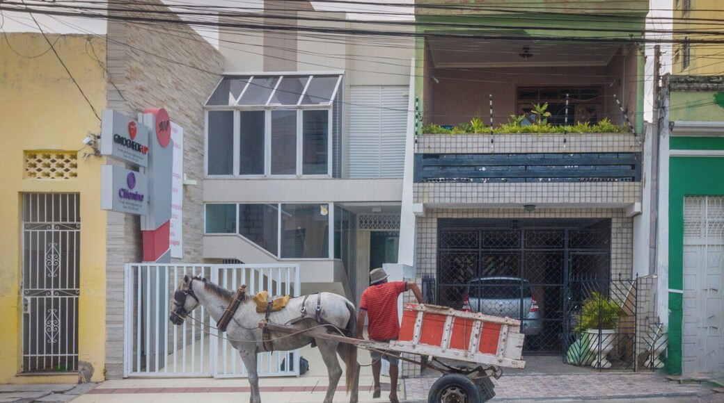 A horse and cart near the Historic Center of Aracaju. #BVStrove