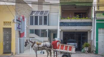 A horse and cart near the Historic Center of Aracaju. #BVStrove