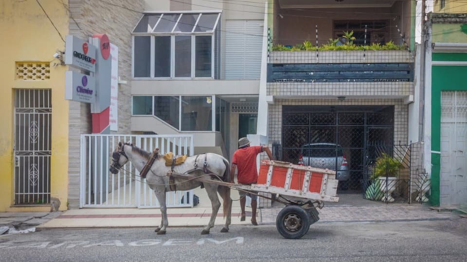 Un cheval tirant une charrette dans une rue de la ville.